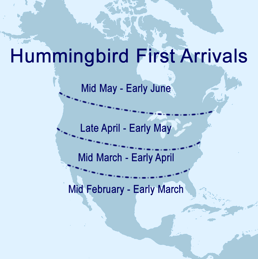 U.S. Hummingbirds First Arrivals of Spring Map